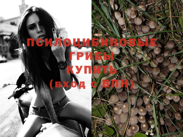 jwh Баксан