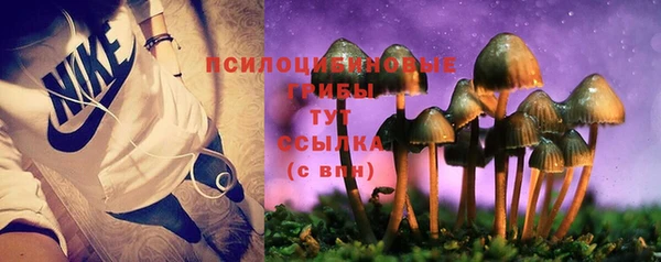 ГАЛЛЮЦИНОГЕННЫЕ ГРИБЫ Балабаново