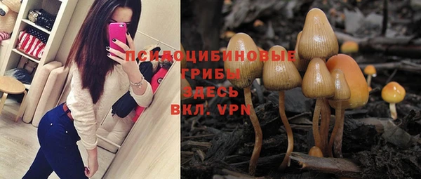 ГАЛЛЮЦИНОГЕННЫЕ ГРИБЫ Балабаново